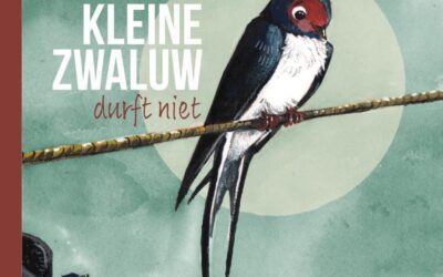 Boek van de maand juni